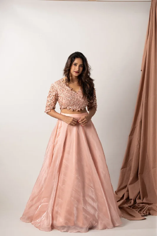 Crochet Hand Embroiderded Blouse With Shimmer Silk Organza Skirt Mandarin Collar Blouse Crochet Hand Embroiderded Blouse With Shimmer Silk Organza Skirt Mandarin Collar Blouse