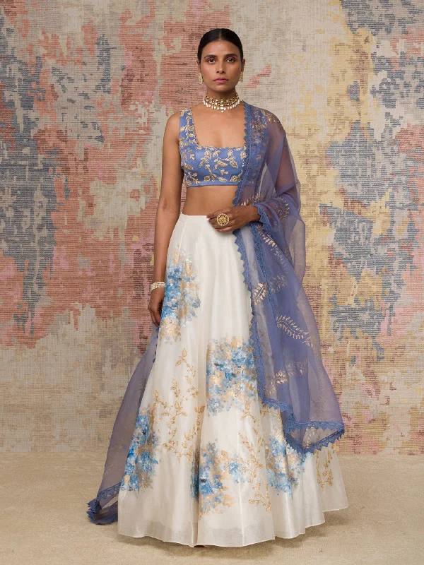 Blue Chanderi Silk Blouse Lehenga Set Sleeveless Chiffon Blouse